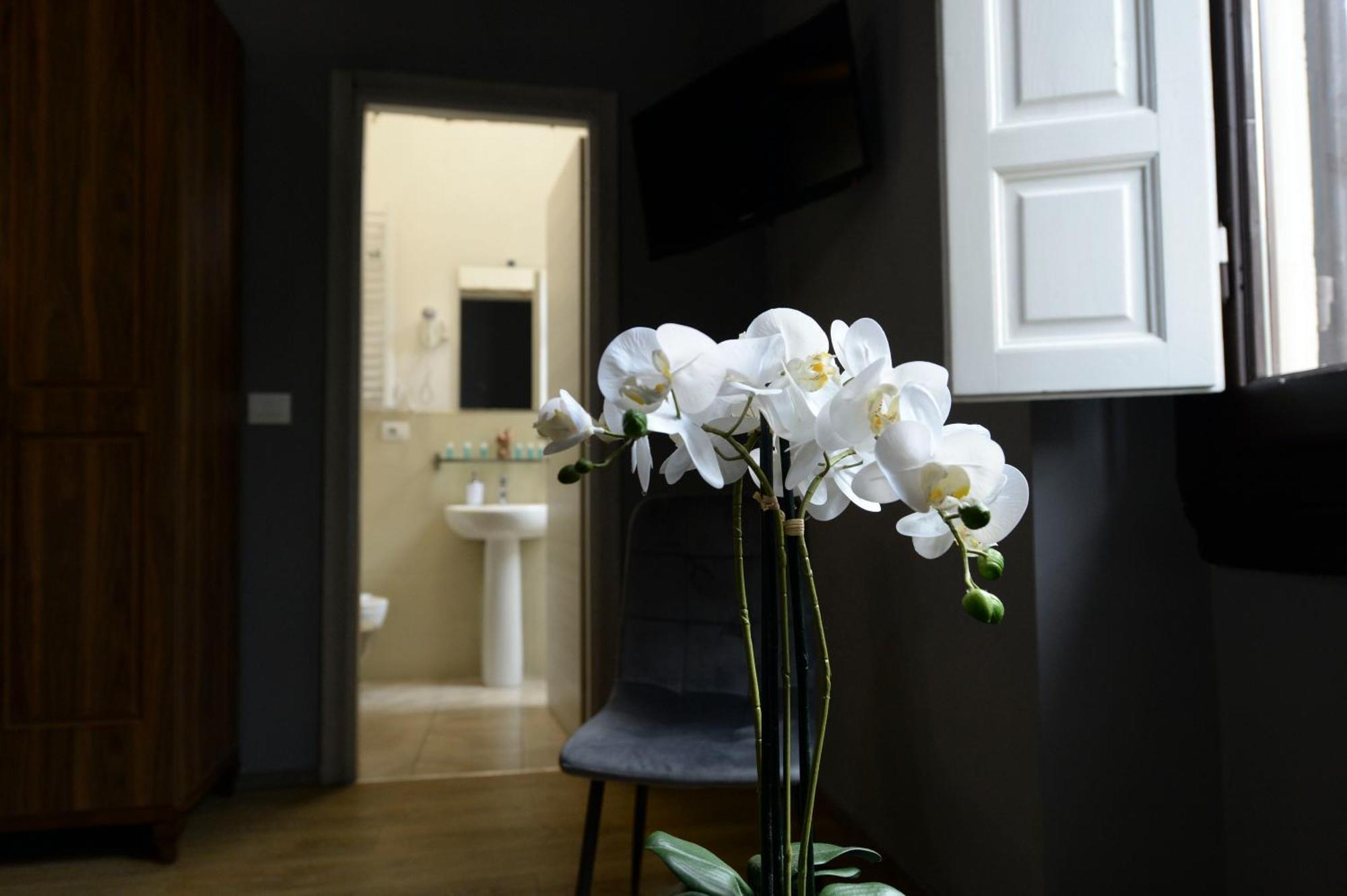 Bed and Breakfast Palazzo Oliveto Флоренция Экстерьер фото